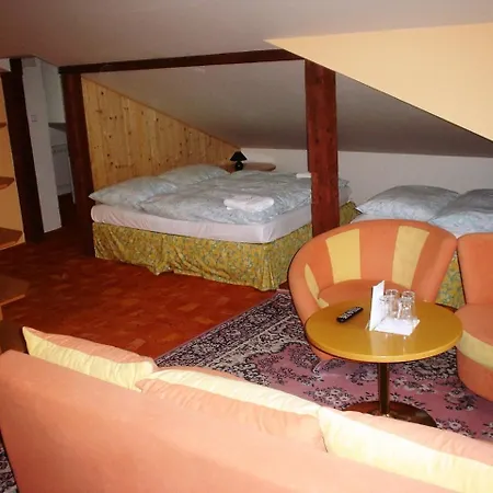Schaumannuv Dvur 3* Karlovice (Moravia-Silesia)