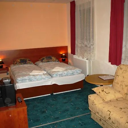 Pensión Schaumannuv Dvur 3*