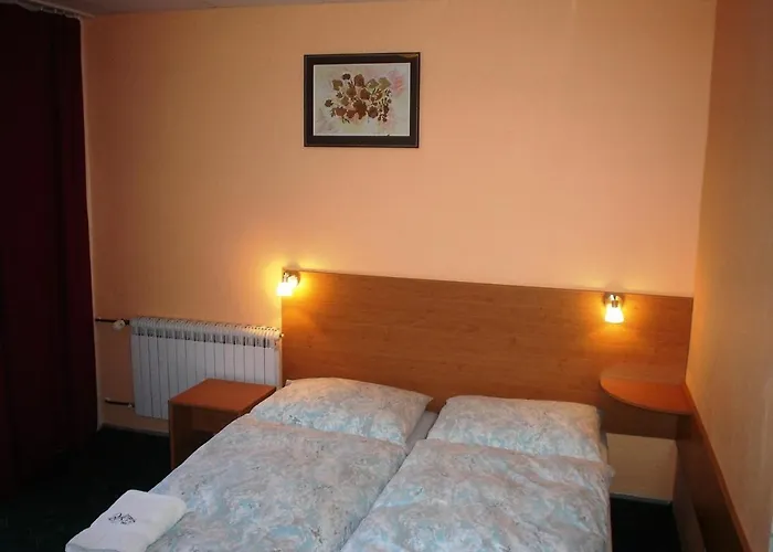 Schaumannuv Dvur 3* Karlovice (Moravia-Silesia)