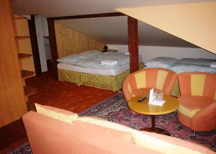 Schaumannuv Dvur 3* Karlovice (Moravia-Silesia)